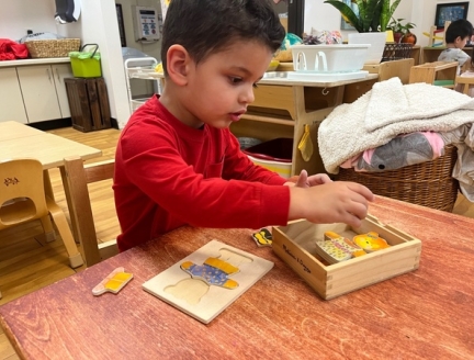 Toddler learning math at Lifetime Montessori School in San Diego