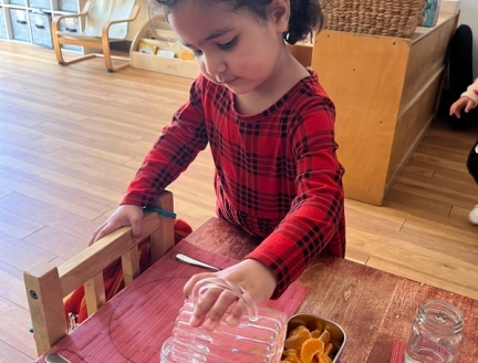 Understanding and Empowering Your Toddler