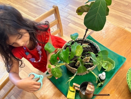 Practical Life activities in a Montessori Classroom in San Diego