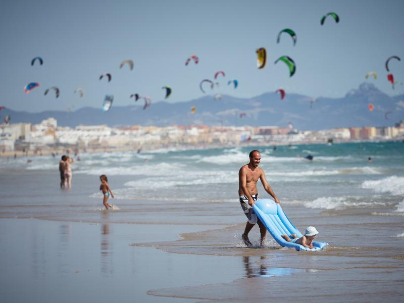 Family Beach Kites