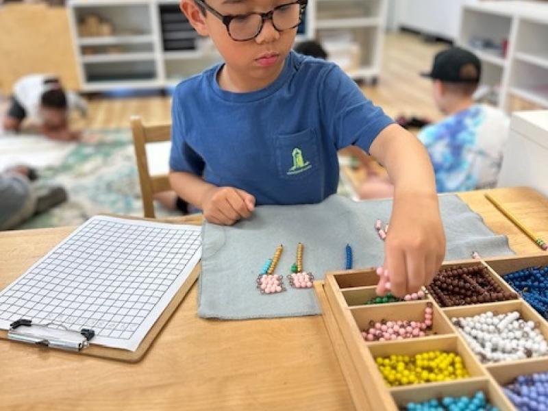Montessori Elementary Child working independently