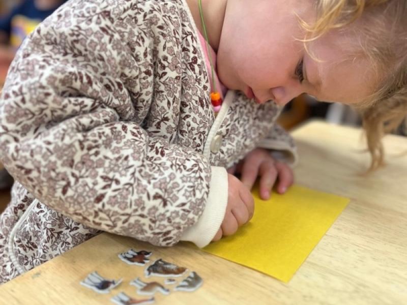 Lifetime Montessori child working on stickers in a prepared environment