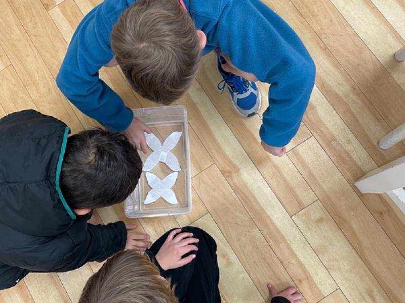 Value of Not Knowing, children in a montessori elementary school solving problems