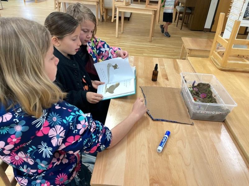 ChiMontessori School Advantages