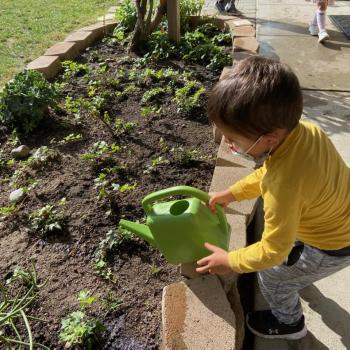 montessori primary child working at Lifetime Montessori School in San Diego