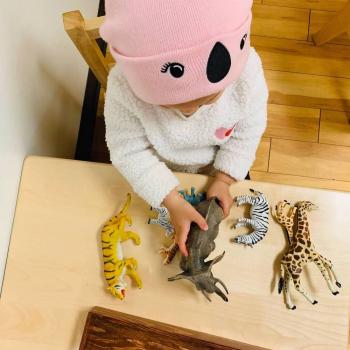Toddler independently learning about animals at Lifetime Montessori School 