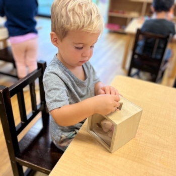 Montessori primary child working at Lifetime Montessori School in San Diego